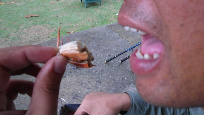 A friend enjoying the last piece of mud crab caught on Saint John Island